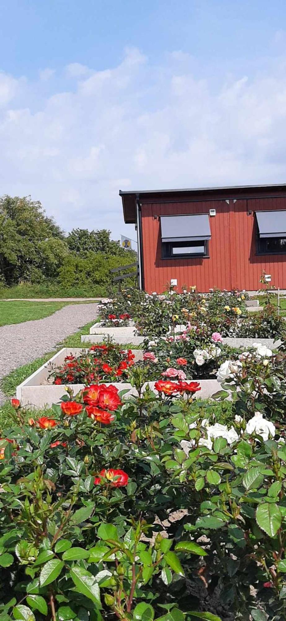 Färjestaden Stf Station Linne المظهر الخارجي الصورة